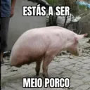 Pig