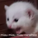 Miau