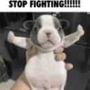 Stop fighting 