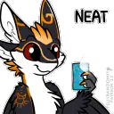 Tycho Neat