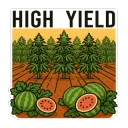 OMP_HighYieldCannabisFarm