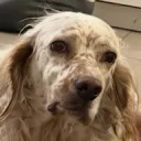 Hast du bisschen Kleingeld?