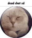 dead_chat_xd