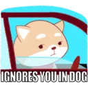 Ignore