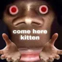 Come here kitten