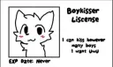 Boykisser License