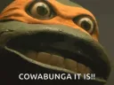 cowabunga