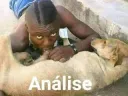 analise