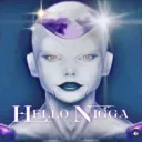hello nigga 