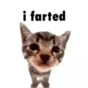 i farted gg/blinked
