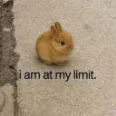 cute evil bunny /cutiecupids