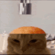 catcupcake avelune
