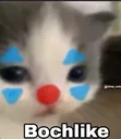 Boxhlike