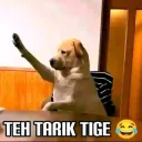 teh tarik tige
