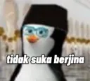 tidaksukaberjina