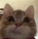 hehe