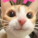 Cat Happy | .gg/dating