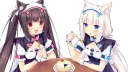 Nekos