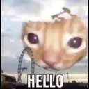 cat_hello