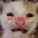 bro what