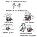 lycaon is the reason