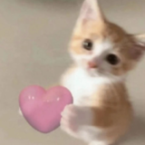 cat heart seraphic