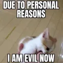 evilcat
