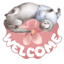 Ferret Welcome (2)