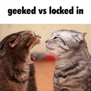 geeked vs locked in
