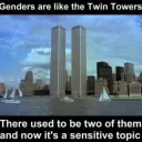 Twin towers