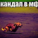 скандал в мфц