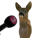Interview Deer