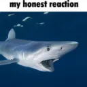 My honest reaction