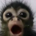 monkey wow |  .gg/trespassers