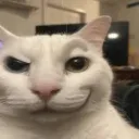 smirk (.gg/lupine)