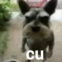 cu