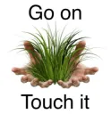 touch_grass
