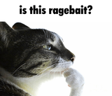 isthisragebaitP4radise ggp4