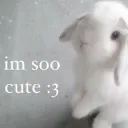 cute bunny /angelmyl