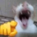 KKKK