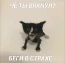 ЧЁ ВЯКНУЛ?