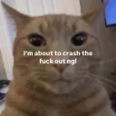 I'm about to crash out