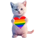 Kitten_Holding_A_LGBT_Heart