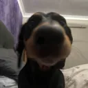 Ya got games on ur phone 