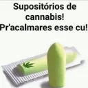 Cannabis