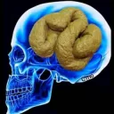 Shit brain