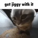 jiggy | .gg/coffeeshop