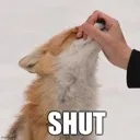FoxSHUT