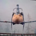 Theamazingmrbobinsky