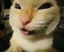muejeje